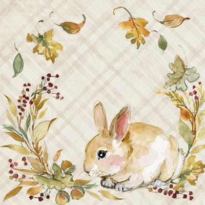 Brown Bunny by Susan Winget framed wall art