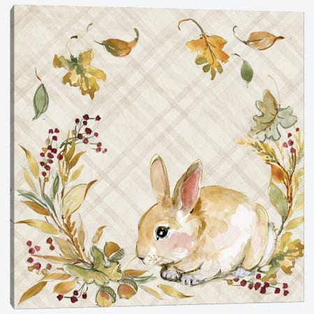 Brown Bunny Canvas Print #SWG39} by Susan Winget Art Print