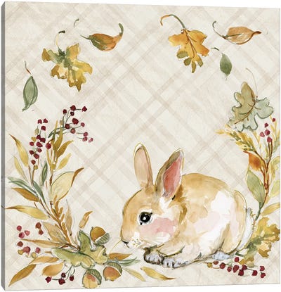 Brown Bunny Canvas Art Print - Susan Winget