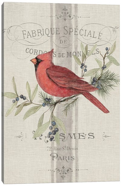Cardinal On Branch Linen Canvas Art Print - Cardinal Art
