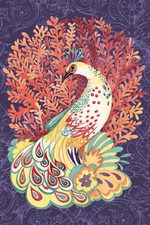 Coral Peacock II