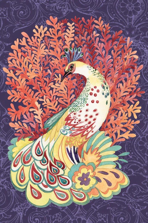 Coral Peacock II by Susan Winget wall art