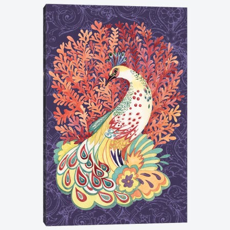 Coral Peacock II Canvas Print #SWG57} by Susan Winget Canvas Artwork