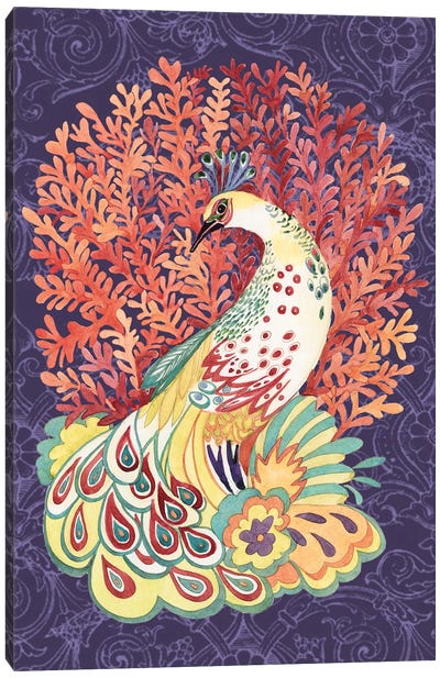 Coral Peacock II Canvas Art Print - Susan Winget