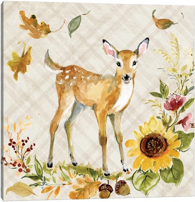 Deer And Sunflower Canvas Art Print - Susan Winget
