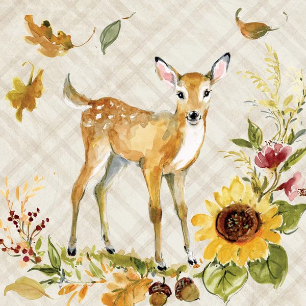 Fine Art Print: Deer And Sunflower by Susan Winget