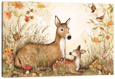 Deer-Horizontal Canvas Art Print - Susan Winget