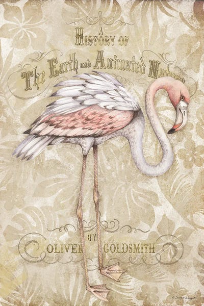 Susan Winget: Flamingo Tropical by Susan Winget