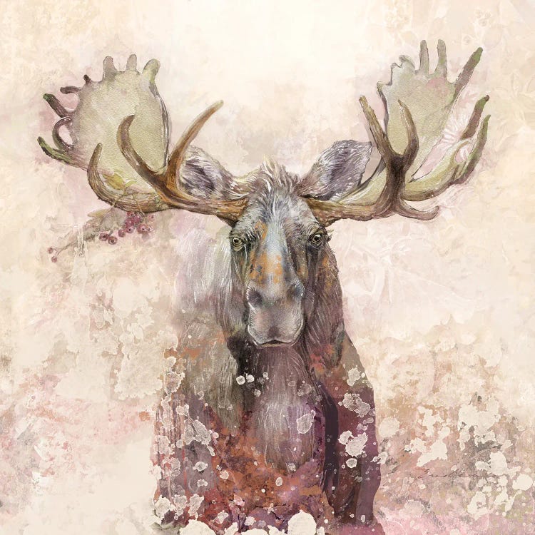 Moose