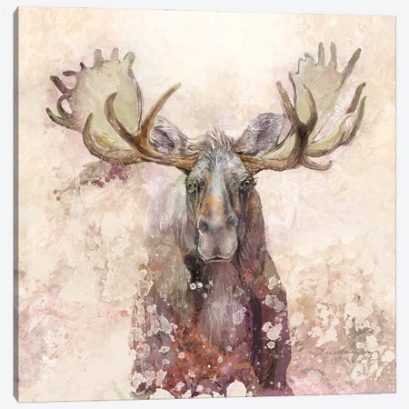 Moose Canvas Print #SWH9} by Evelia Designs Canvas Print