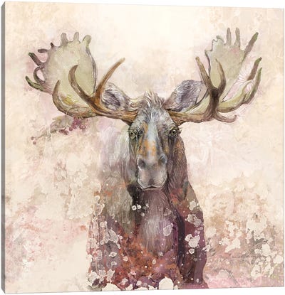 Moose Canvas Art Print - Evelia Designs