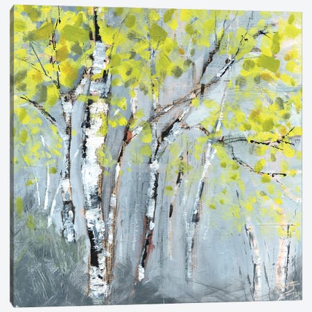 Tree Whisperers Canvas Print #SWJ28} by Shani Wray-Jenkins Canvas Art Print