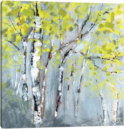 Tree Whisperers Canvas Art Print - Shani Wray-Jenkins