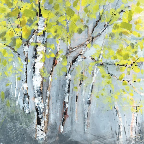 Aspen Trees | Birch Trees: Tree Whisperers by Shani Wray-Jenkins