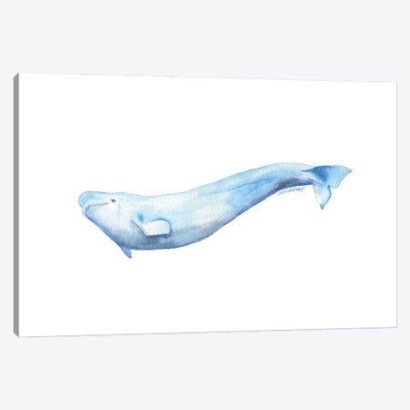 Beluga Whale Canvas Print #SWO100} by Susan Windsor Canvas Print