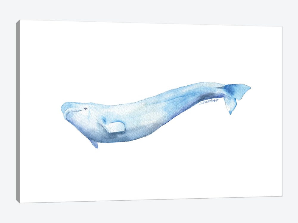 Beluga Whale by Susan Windsor 1-piece Art Print
