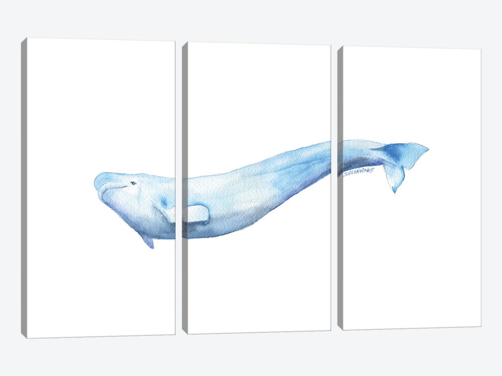 Beluga Whale by Susan Windsor 3-piece Canvas Print