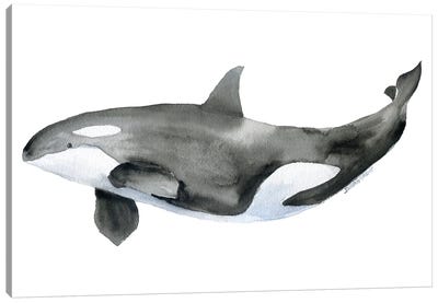 Orca Canvas Art Print - Susan Windsor