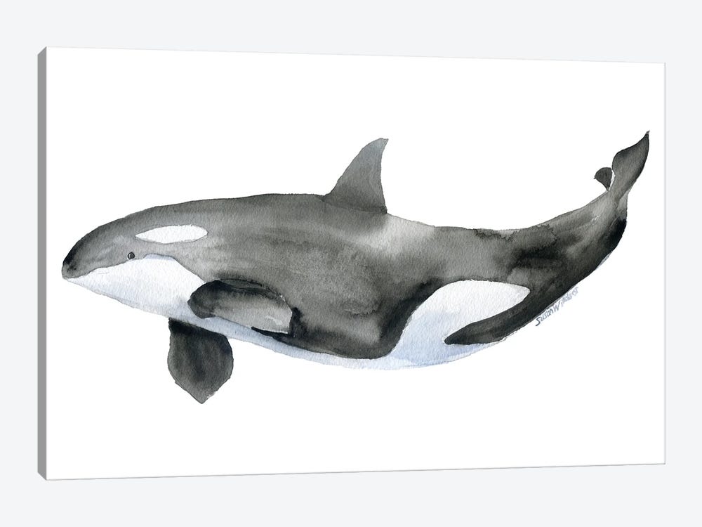 Orca by Susan Windsor 1-piece Art Print