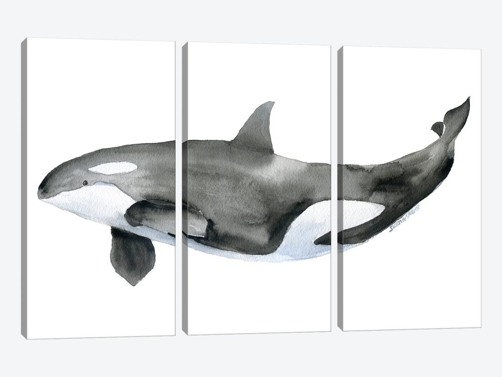 Orca by Susan Windsor 3-piece Canvas Print