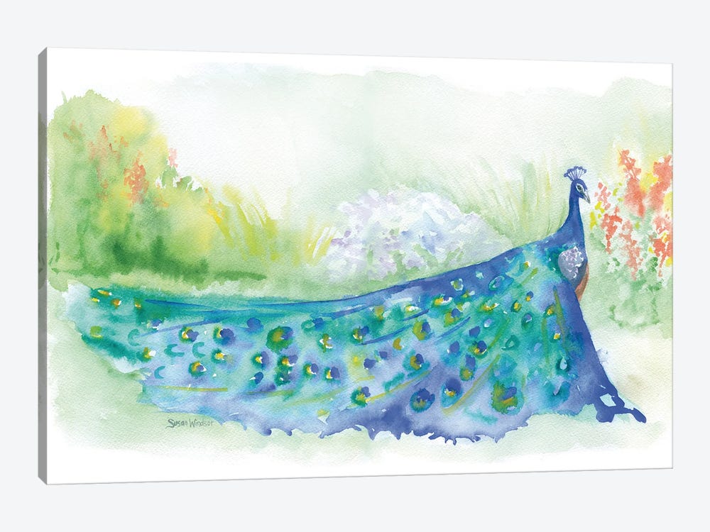 Peacock II by Susan Windsor 1-piece Canvas Wall Art