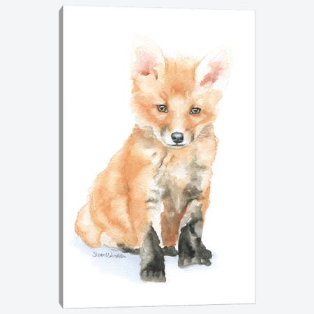 Baby Red Fox Canvas Print #SWO125} by Susan Windsor Canvas Artwork