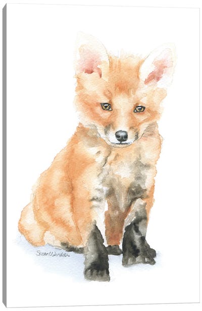 Baby Red Fox Canvas Art Print - Susan Windsor