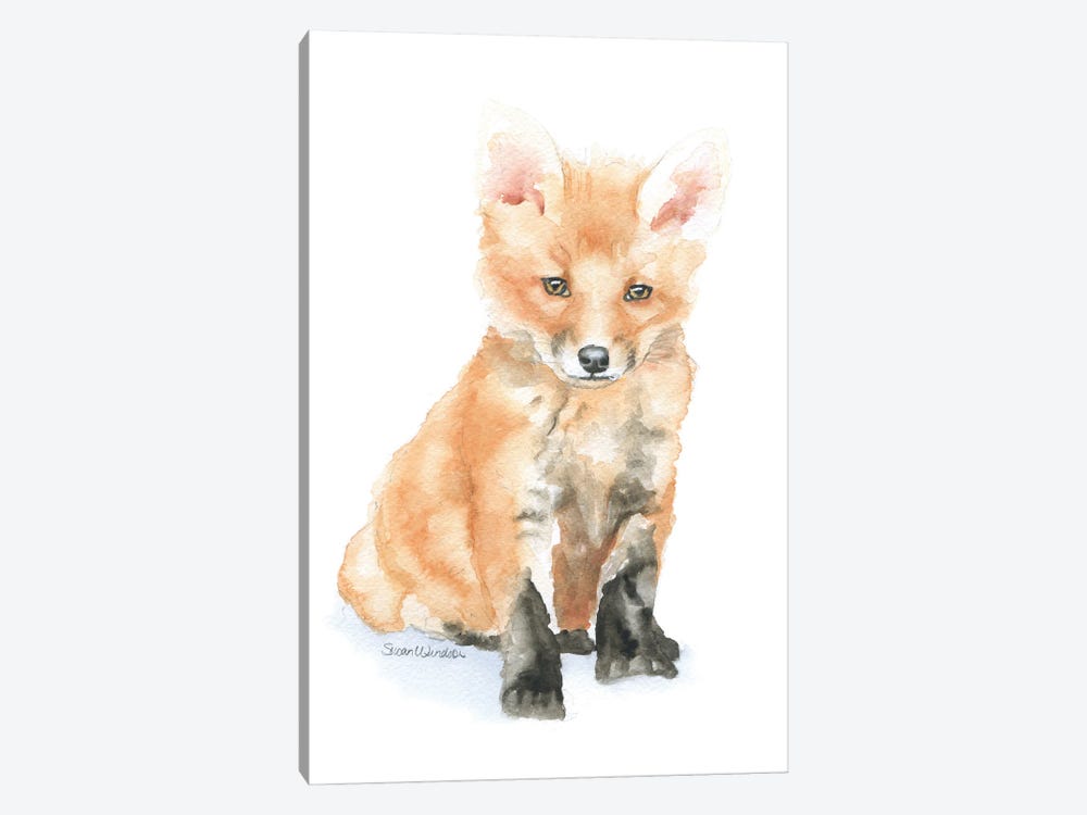 Baby Red Fox by Susan Windsor 1-piece Canvas Wall Art