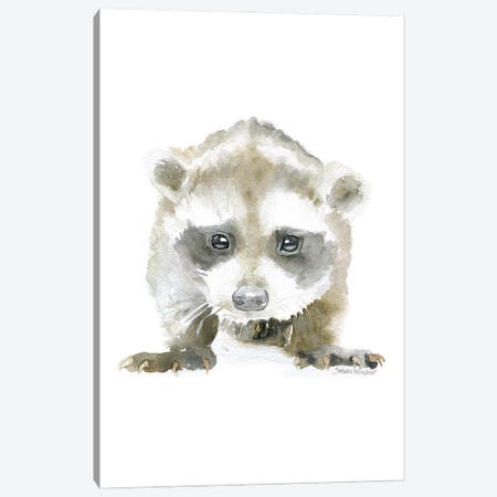 Baby Raccoon Canvas Print #SWO126} by Susan Windsor Canvas Artwork