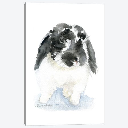 Black And White Lop Rabbit Canvas Print #SWO127} by Susan Windsor Canvas Wall Art