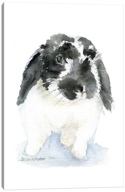 Black And White Lop Rabbit Canvas Art Print - Baby Animal Art