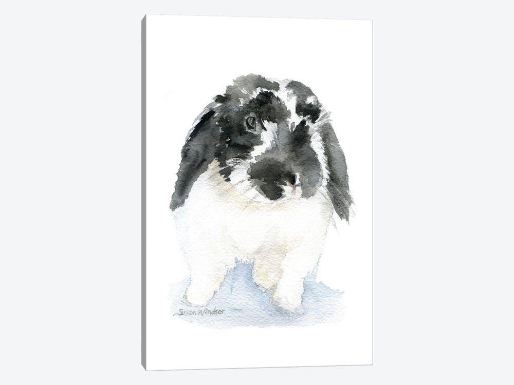 Black And White Lop Rabbit by Susan Windsor 1-piece Canvas Wall Art