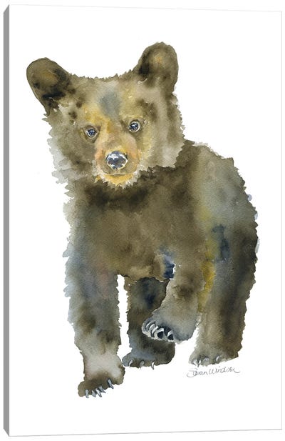Black Bear Cub Walking Canvas Art Print - Baby Animal Art