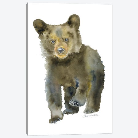 Black Bear Cub Walking Canvas Print #SWO128} by Susan Windsor Canvas Art Print