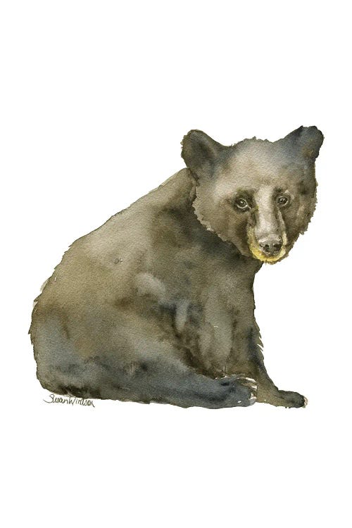 Black Bear Cub Sitting