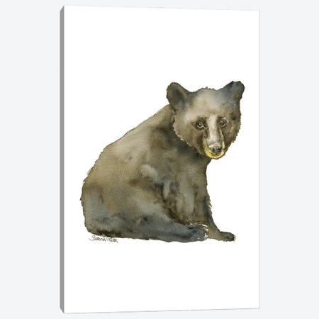 Black Bear Cub Sitting Canvas Print #SWO129} by Susan Windsor Art Print