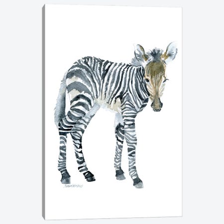 Zebra Baby Canvas Print #SWO12} by Susan Windsor Art Print