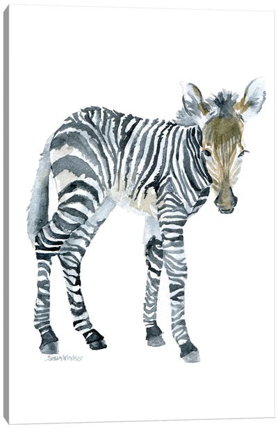 Zebra Baby Canvas Art Print - Susan Windsor