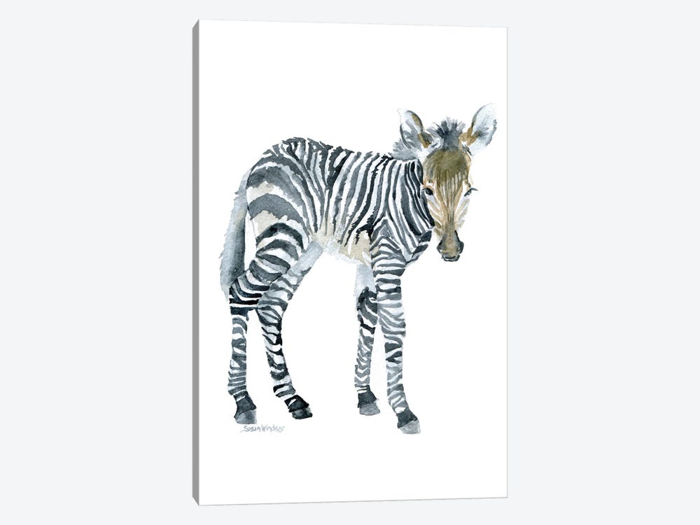 Zebra Baby by Susan Windsor 1-piece Canvas Art Print