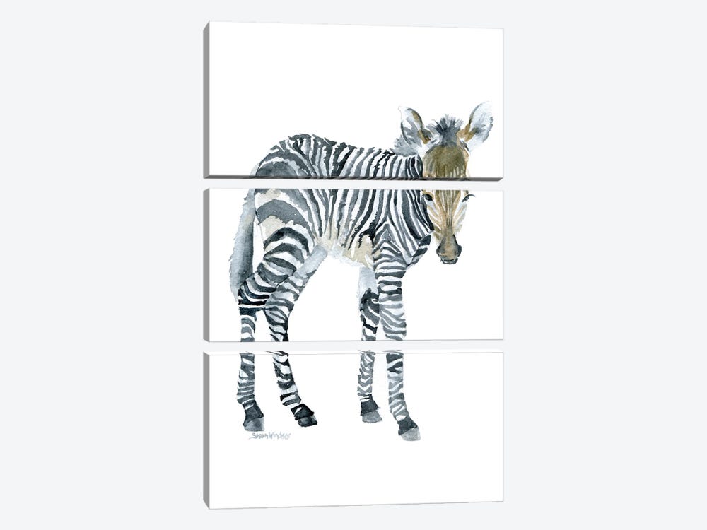 Zebra Baby by Susan Windsor 3-piece Canvas Art Print