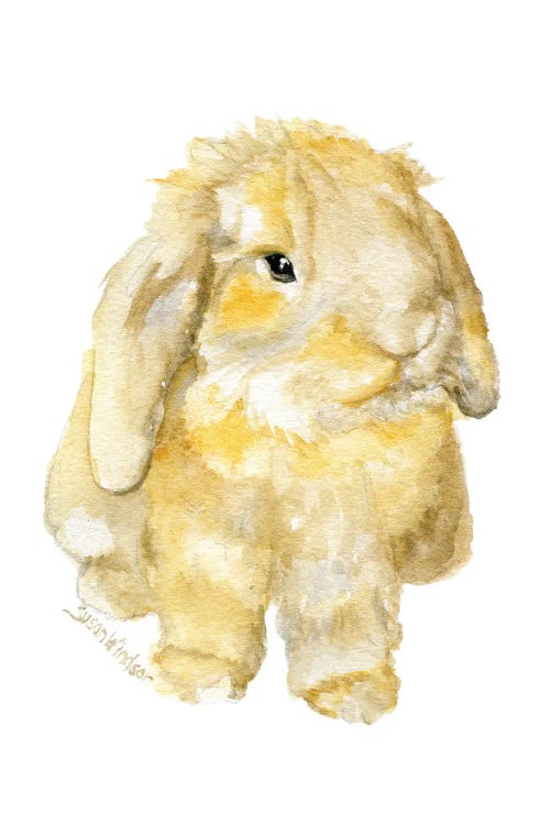 Brown Lop Bunny Rabbit