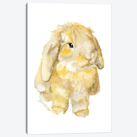 Brown Lop Bunny Rabbit Canvas Print #SWO130} by Susan Windsor Canvas Wall Art