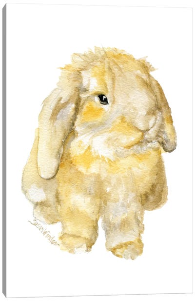 Brown Lop Bunny Rabbit Canvas Art Print - Susan Windsor