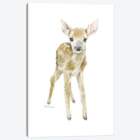 Deer Fawn Canvas Print #SWO131} by Susan Windsor Canvas Art