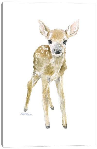 Deer Fawn Canvas Art Print - Susan Windsor