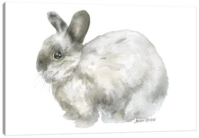Gray Bunny Rabbit Canvas Art Print - Susan Windsor