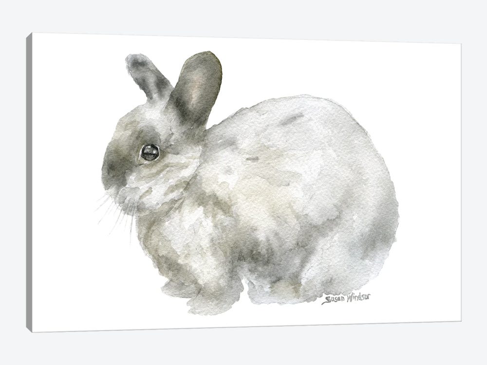 Gray Bunny Rabbit by Susan Windsor 1-piece Canvas Wall Art