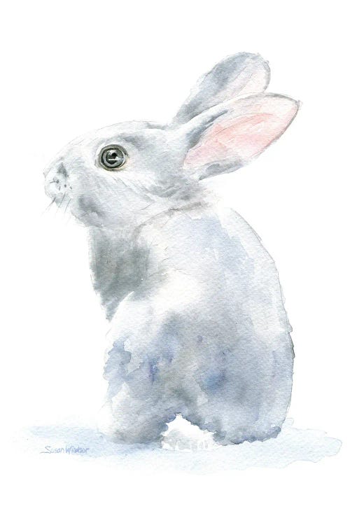 Gray Bunny Rabbit II