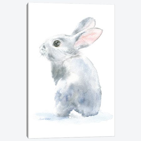 Gray Bunny Rabbit II Canvas Print #SWO133} by Susan Windsor Canvas Wall Art