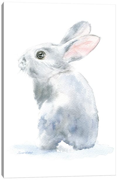 Gray Bunny Rabbit II Canvas Art Print - Susan Windsor